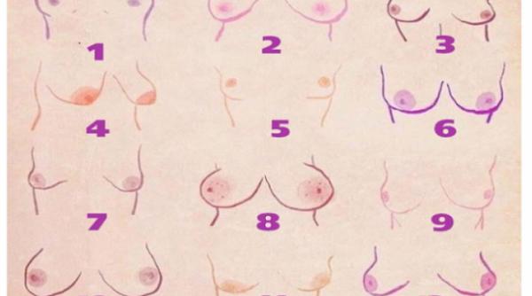 ce spune forma sanilor despre o femeie