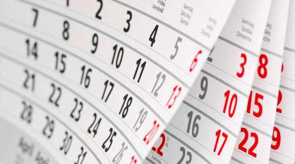 zile libere pentru romani ce au mai propus ale ii neamului