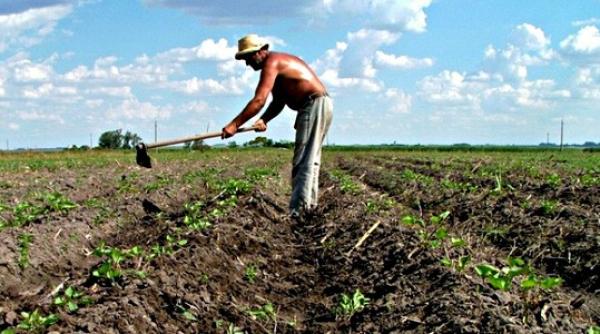 bancul zilei un ardelean munce te pe camp