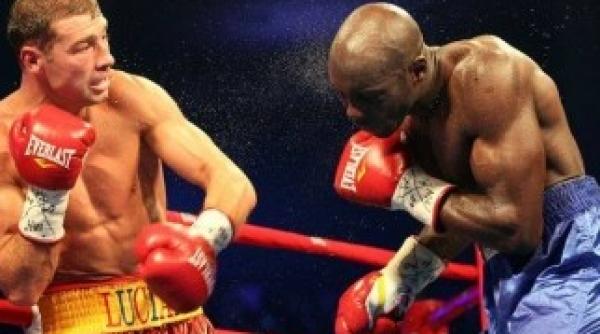 lucian bute revine in top va lupta pentru o centura mondiala