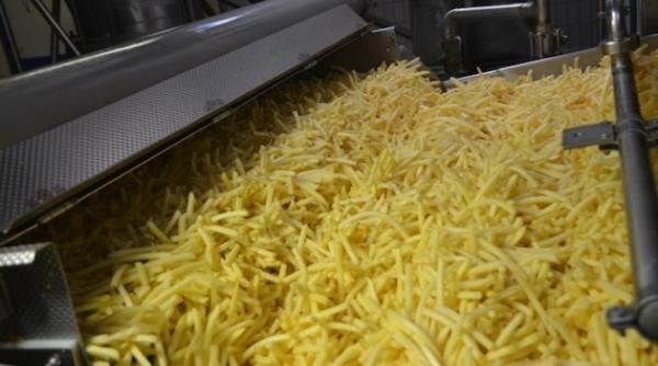 mcdonald s cate tone de cartofi mananca romanii in restaurantele companiei