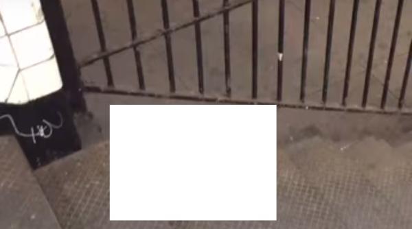 viral la ce se uita milioane de oameni in acest moment