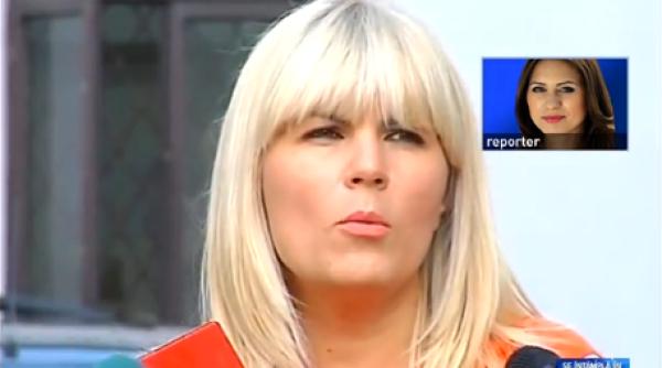 decizia iccj pentru elena udrea