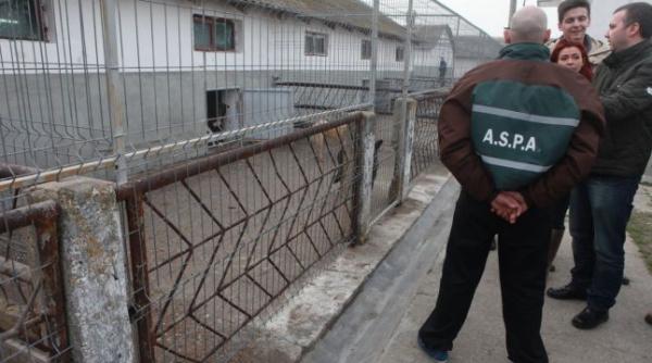 schimbari in primaria capitalei ce spune primarul interimar despre aspa