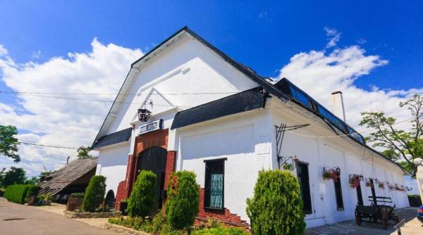 programul vacan e la ara hanu ancu ei week end cu pensiune completa cu doar 295 de lei