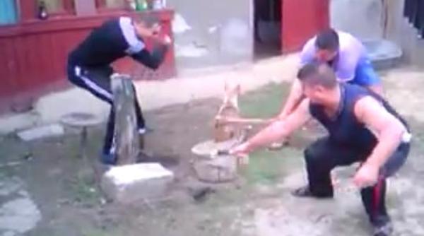 video ocant trei baie i au chinuit un caine i i au taiat coada ultimele informa ii