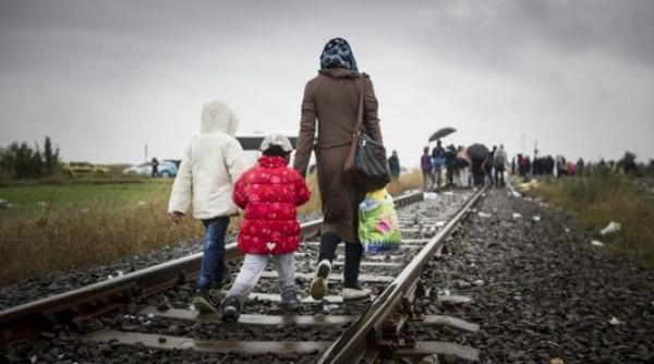 norvegia regula stricta pentru to i refugia ii