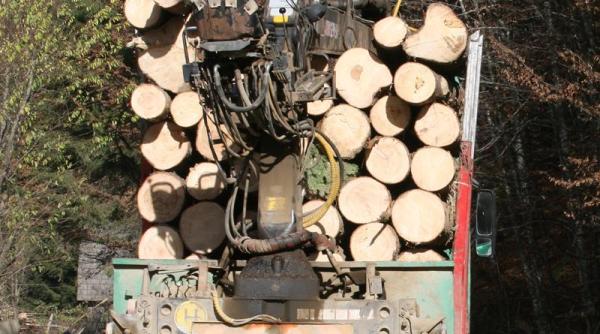 decizie de impact la senat cum vor lupta autorita ile cu defri arile