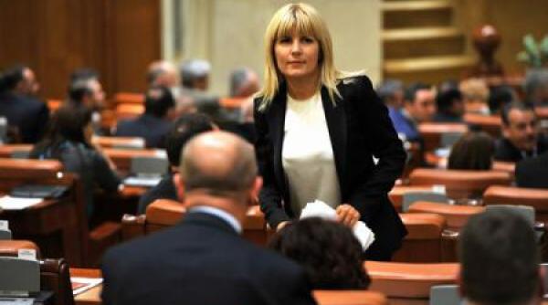 liberalii spun cum vor vota in cazul elenei udrea