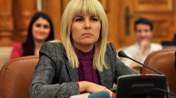 lovitura pentru psl elena udrea recunoa te ca a luat bani de la bogdan buzaianu