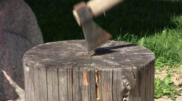 fata din densu care sparge lemne viroza presei sau prostia consumatorilor