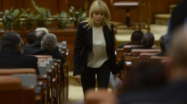 rezultatul votului din camera deputa ilor pentru elena udrea decizie pentru cererile de re inere i arestare