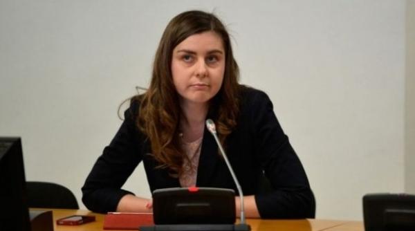 ioana petrescu in locul lui mihai tanasescu la bei ce salariu va primi fostul ministru al finan elor