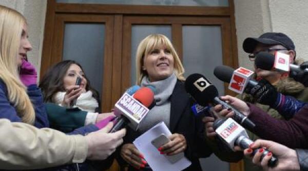 elena udrea cerere expresa pentru dna