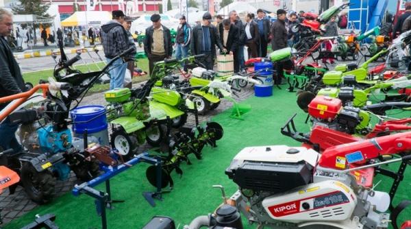 doliu na ional festivita ile de la targul indagra anulate