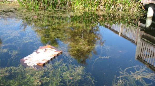 au gasit o valiza plutind pe apa cand au deschis o s au crucit