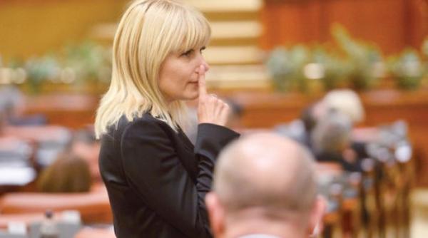 elena udrea nou termen la iccj in gala bute
