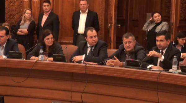 raluca pruna propusa ministru al justi iei audiata in comisii