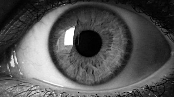 care este drogul terori tilor ce iau inainte sa se arunce in aer