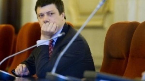 ionut vulpescu in ultima zi la ministerul culturii domeniul cultural poate deveni o marca de tara