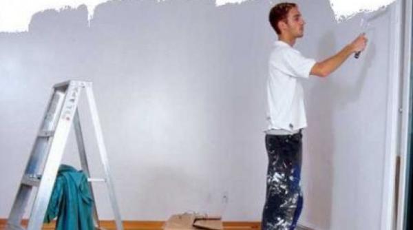 bancul zilei cum lucreaza zugravii la domiciliu