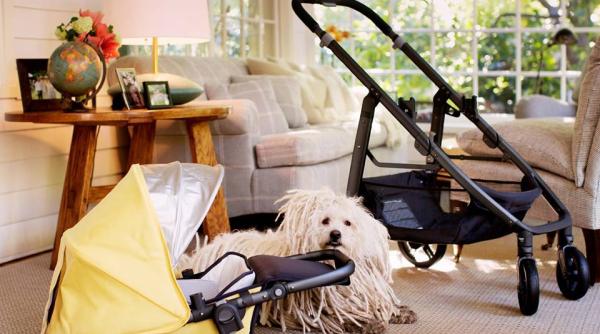 mark zuckerberg se retrage temporar de la conducerea facebook