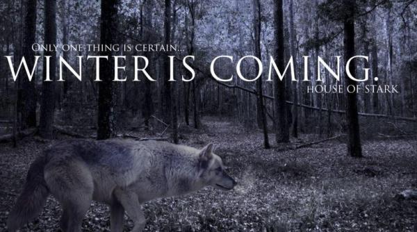 ponta mesaj care da tonul la specula ii