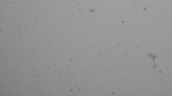 cod galben romania sub zapada ninsori i vant puternic