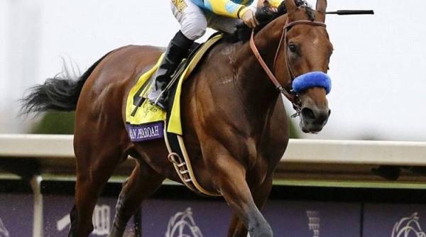 un cal nominalizat la titlul de cel mai bun sportiv al planetei