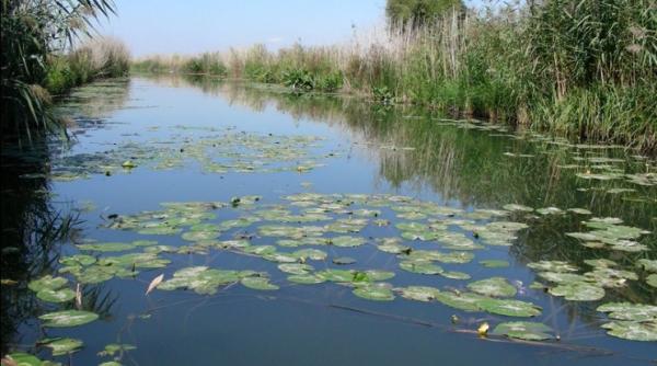 semnal de alarma pentru guvern legat de delta dintre crisuri
