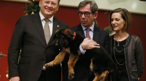 cadoul rusiei pentru fran a un ca elu