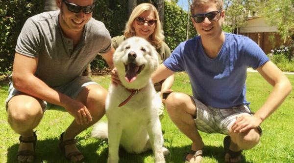 cainele unui premier i a infipt col ii in ca iva vizitatori politici