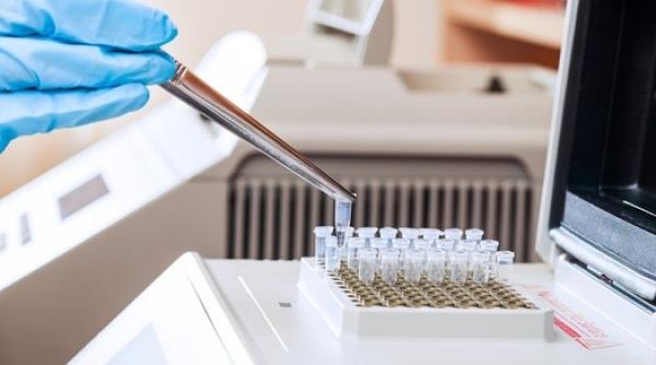 fertilizare in vitro pentru caini