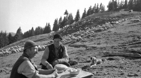 chestiune infioratoare legata de legea vanatorii nimeni nu a sesizat acest aspect