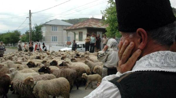 legea vanatorii dublu atac la patrimoniul na ional lovitura uria a pentru romania exclusiv