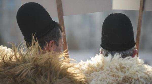 legea vanatorii bodea