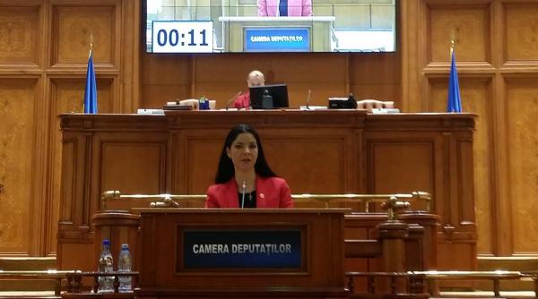 ana birchall cuvinte emo ionante in plenul camerei deputa ilor