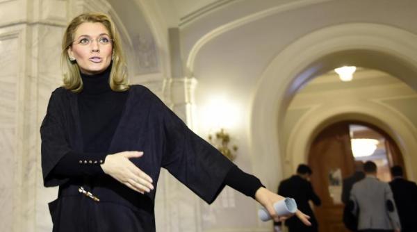 ovidiu rae chi scrisoare catre alina gorghiu cine salveaza cotroceniul