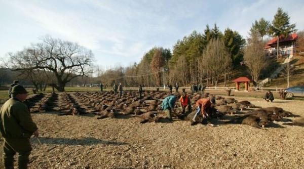 proteste la vanatoarea de la balc reac ie ferma miliardarii sa vaneze terori ti isis