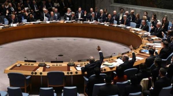 siria acord in unanimitate divergen ele continua sa existe