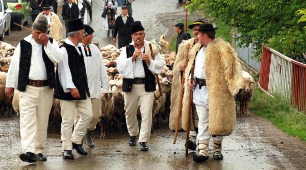 eu tata i ciobanii lui laie chioru