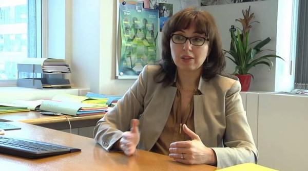 gafa a ministrului mediului cristiana pasca palmer ce a scris in declara ia de avere