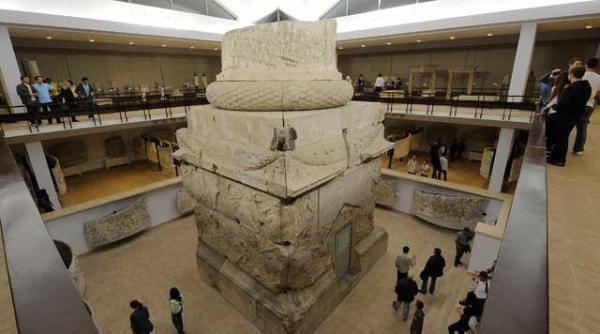 intrebari pentru patrio i scoatem latina din coli