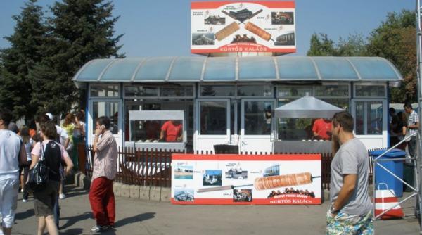 ungaria lovitura pentru romania la bruxelles