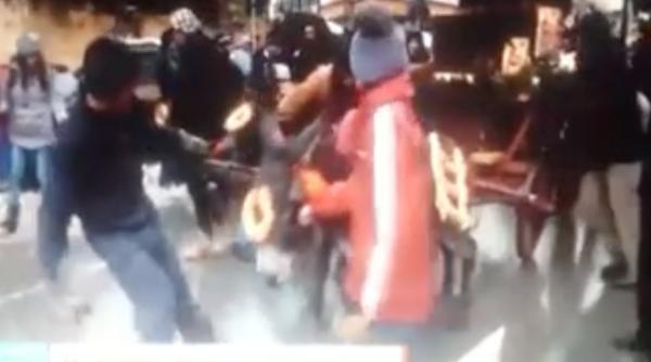 caz revoltator cu animale chinuite vina este a bisericii