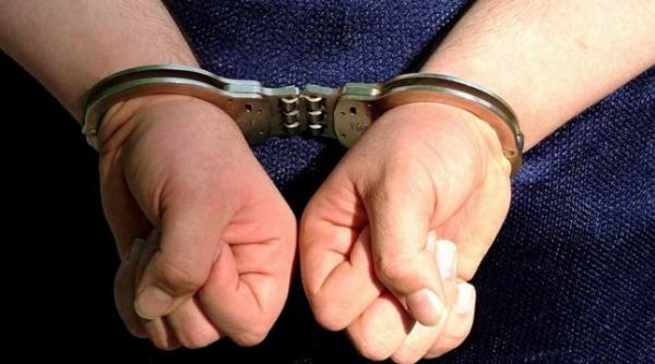 un celebru om de afaceri din romania arestat pentru pornografie infantila