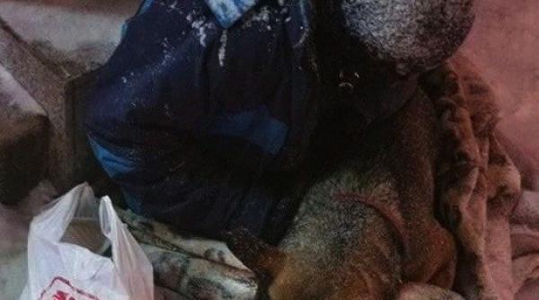 gigi becali ajutor condi ionat pentru fra ii care cer esc in victoriei