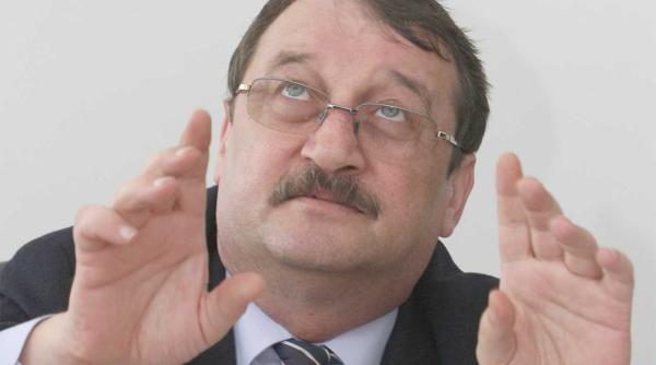 mircea basescu condamnat la patru ani cu executare