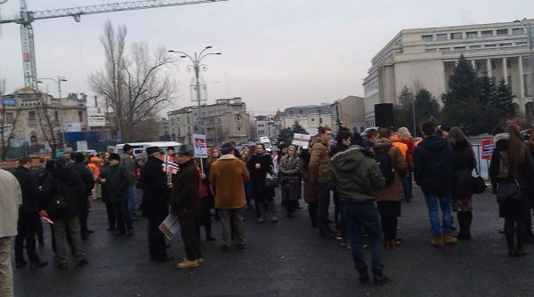 protest in pia a victoriei pentru familia bodnariu lasata fara cinci copii