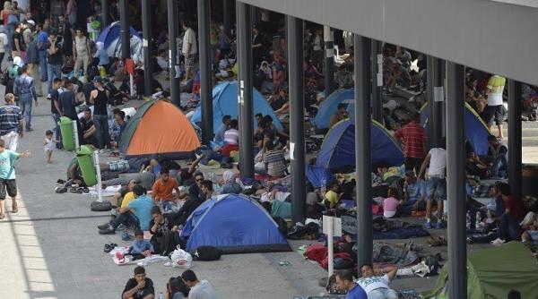 un oficial din olanda a cutremurat senatul sua discurs uluitor